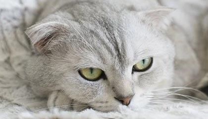 世界杯官方观看入口-2026“苏超”冠名商为江苏银行和苏豪控股集团