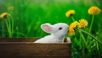 世界杯官方观看入口-2026“苏超”冠名商为江苏银行和苏豪控股集团